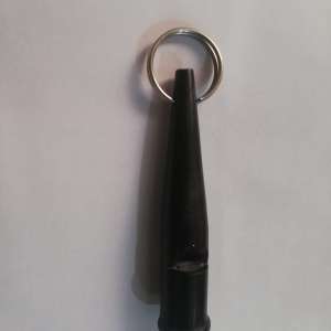 2- Whistle