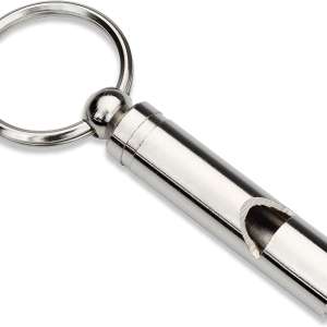 4- Whistle